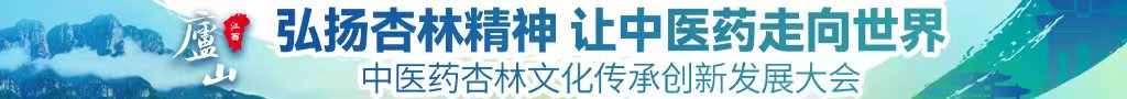 黑人大吊草逼视频中医药杏林文化传承创新发展大会